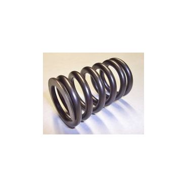 Valve Spring V8 ERR4628
