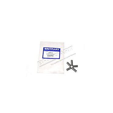 Camshaft Dowel 300Tdi (OEM) ERR4709