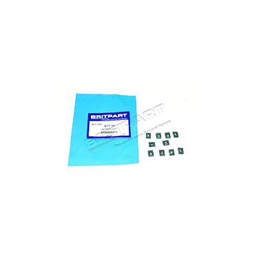 NUT LAMP RETAINING (BRITPART)AK606021L