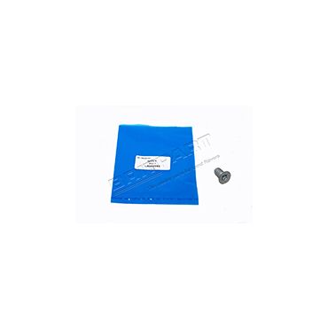 Brake Disc Screw (BRITPART) LR002080