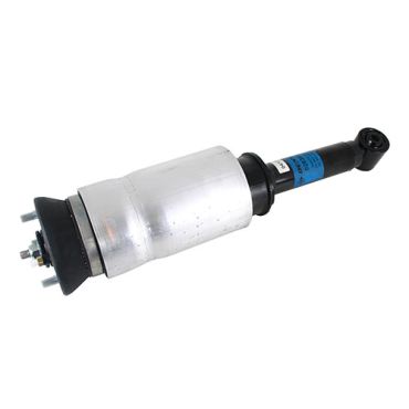 Air Spring Strut With Stability Control ACE 2.7/4.2/4.4 05-09 (DUNLOP) RNB501470 RNB501600 LR016415