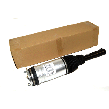 Air Suspension Strut (BWI) LR087083 LR072450 LR060399  LR052784 LR045100