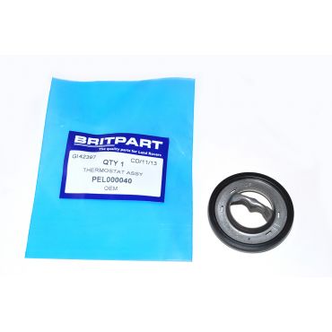 Thermostat Blanking Plate (Britpart) PEL000040