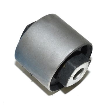 Bush Rear Trailing Arm *Body End* (Aftermarket) RGX101000