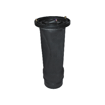 Air Suspension Spring Rear D2 (Dunlop) RKB101200