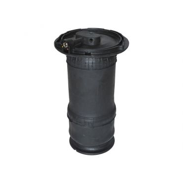 Air Spring Rear P38 (Dunlop) RKB101460