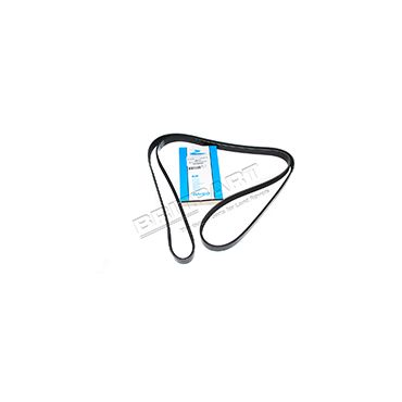 Belt Fan 2.5TD BMW (Dayco) STC4455G